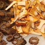 shrooms_sliced